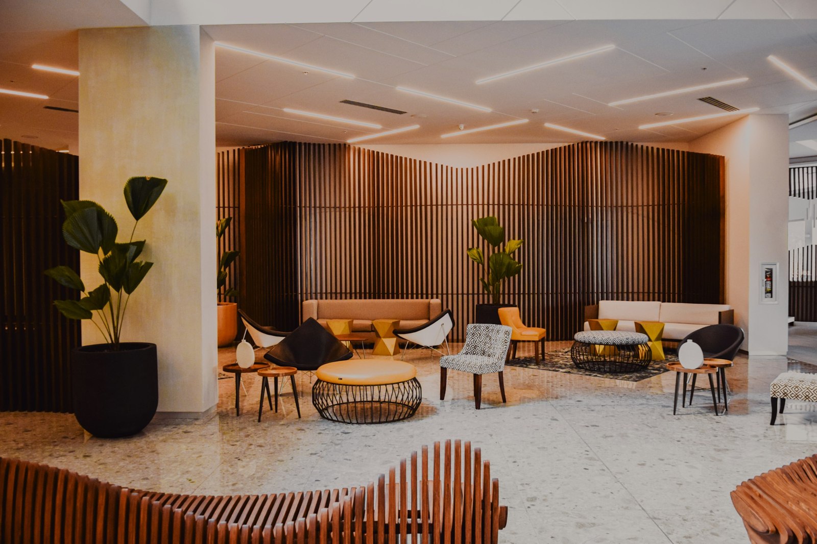 Warm wood and curated furnishings in a contemporary hospitality interior
